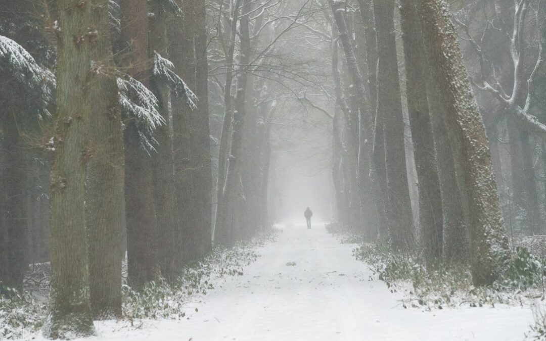 Muziektheater “Winterreise of Kolde tocht”